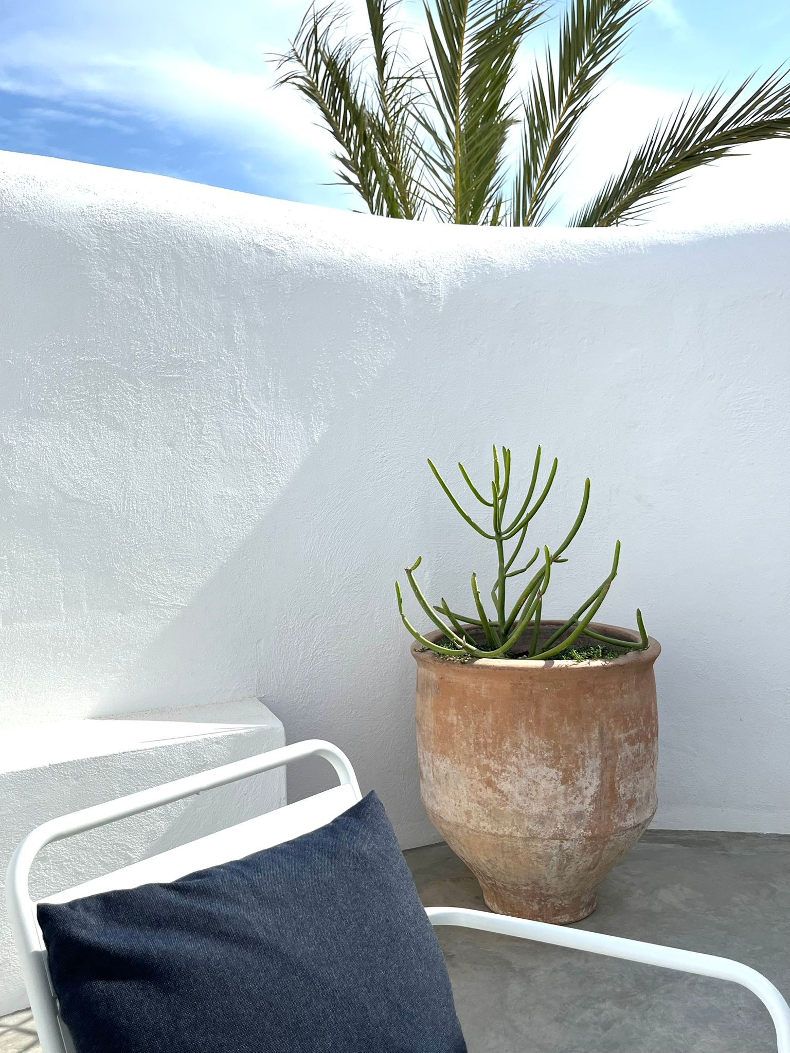 Casa Esparto