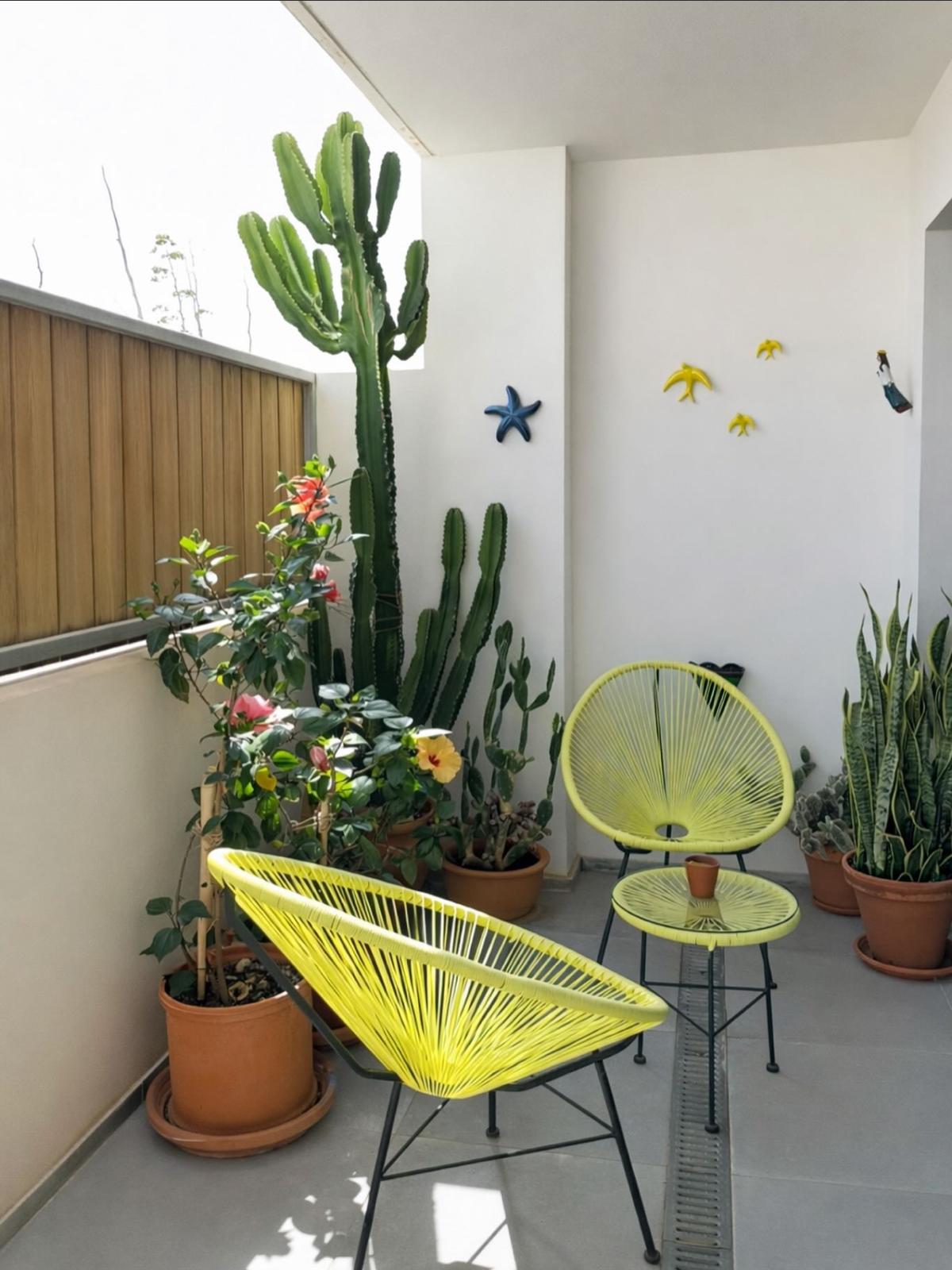 Terrazas 4